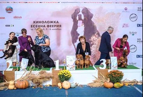 Daradachs kennel